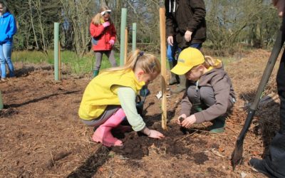 Roots for the Future’s annual report