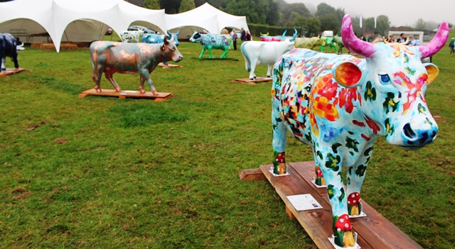 A whole lot of Moos