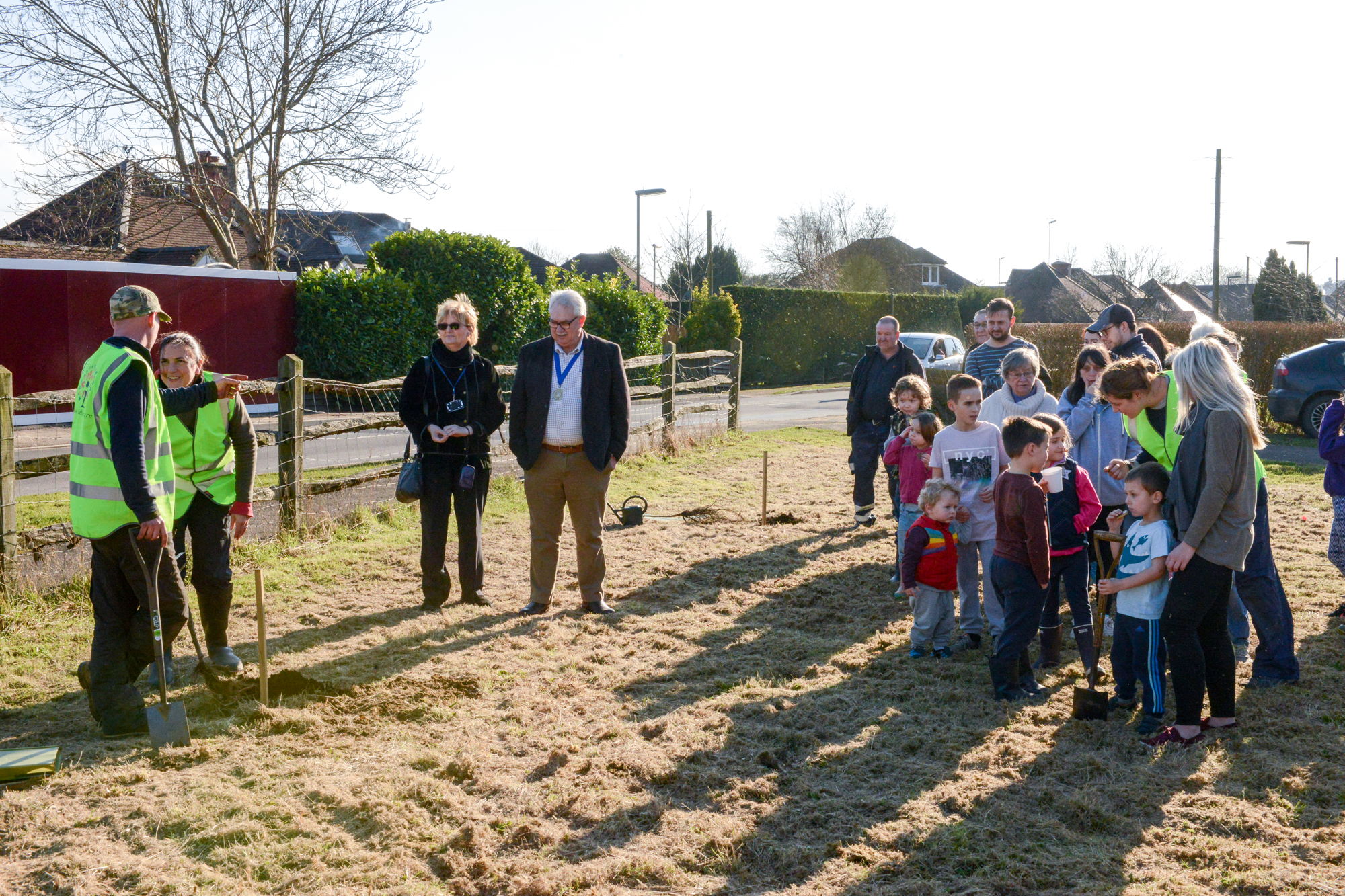 We planted 20 fruit trees