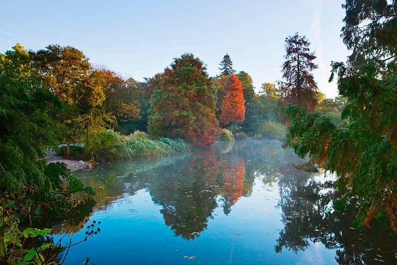 Save Wisley’s trees
