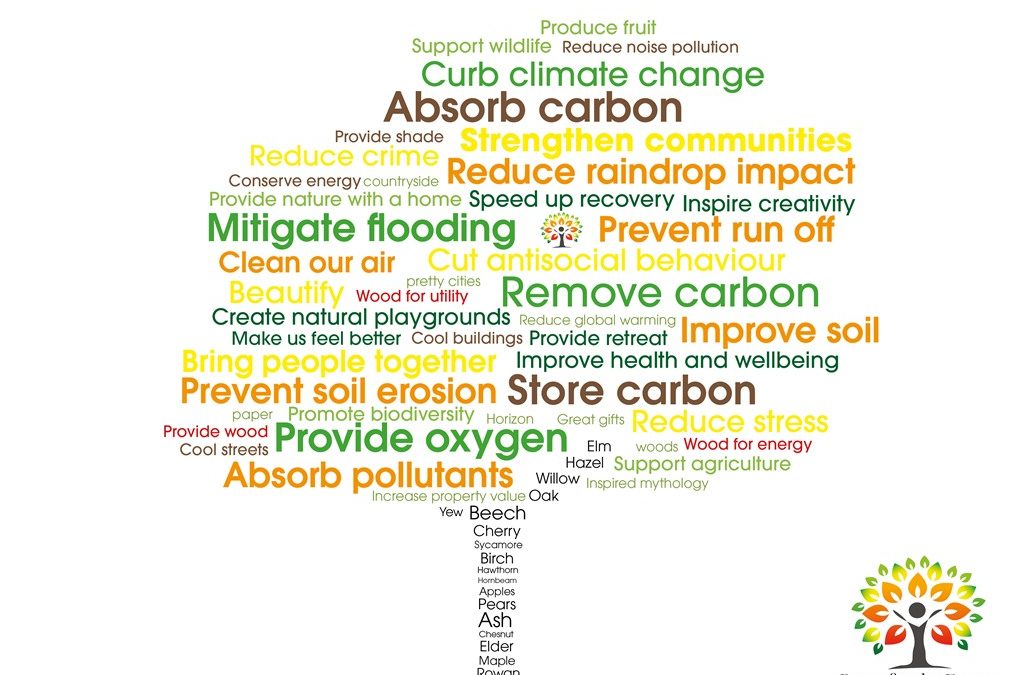 The many MANY benefits of trees