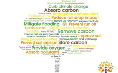The many MANY benefits of trees