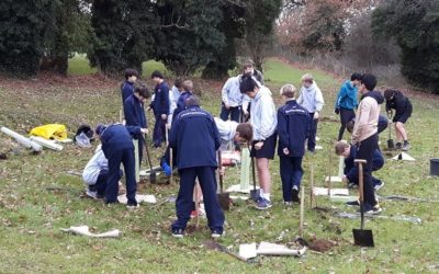 Charterhouse “Yearlings” plant in memory of Old Carthusians