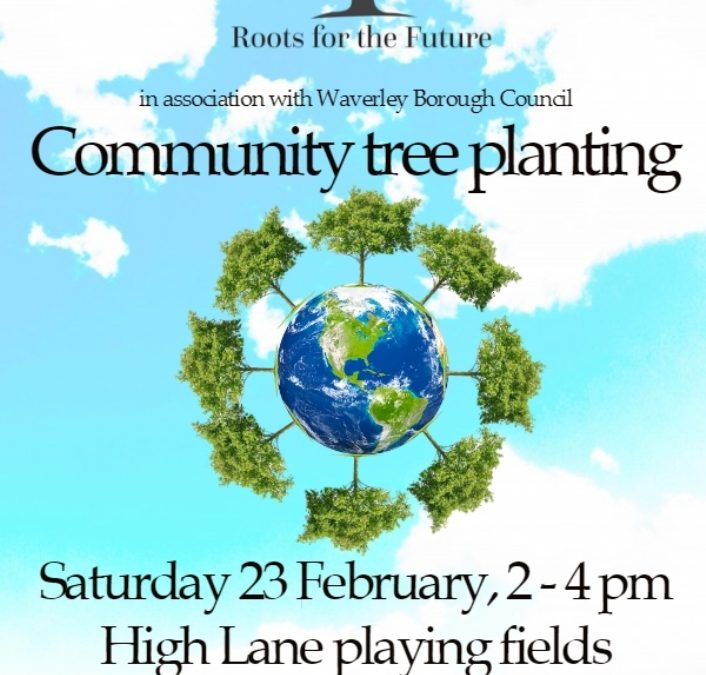 Haslemere! Come plant with us