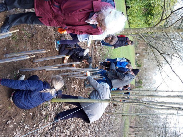 Inter-generational hedge planting