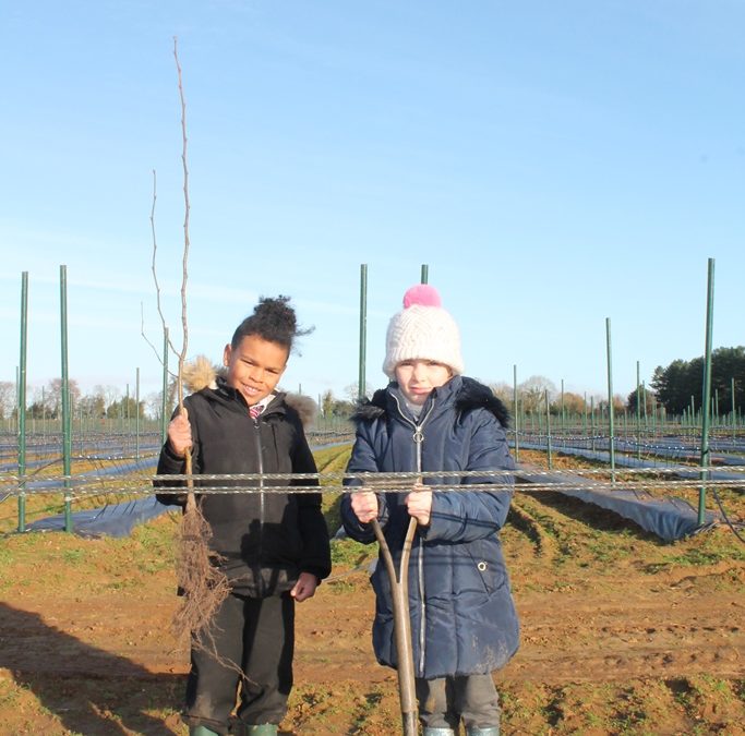 It’s National tree week, so we planted some