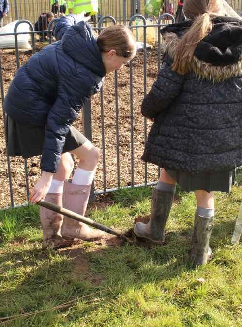 634 trees + 345 pupils = nature-based fun