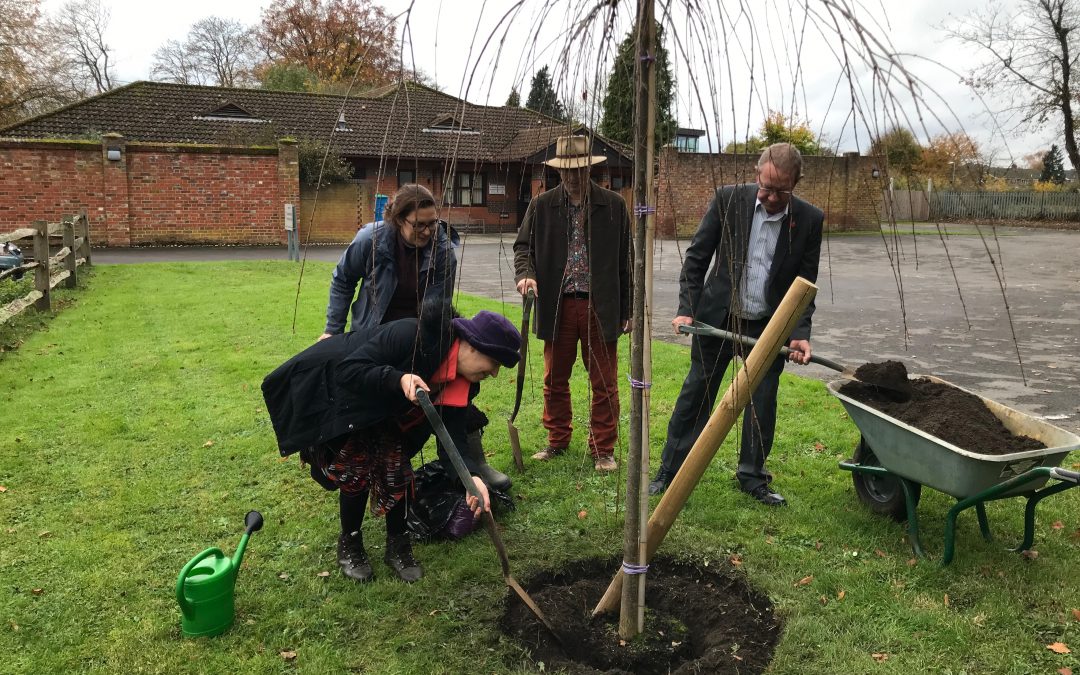 Godalming Town wins Green Gala Tree