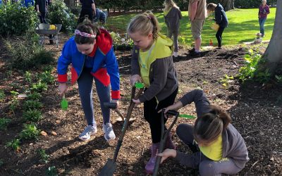 Community gardening – what’s in it for me?