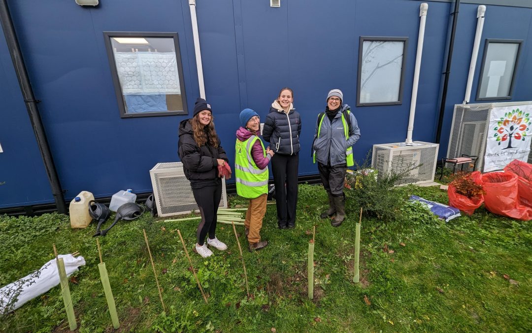 Royal Surrey County Hospital’s newest trees