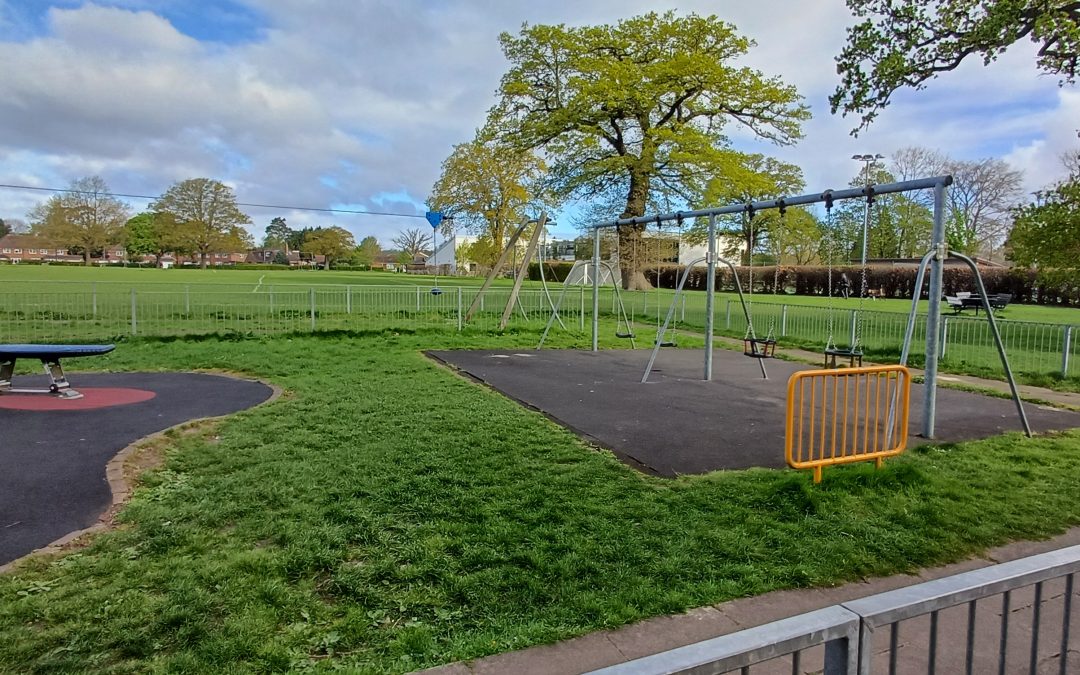 Playground trees for shade