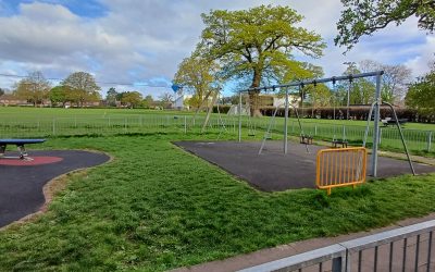 Playground trees for shade