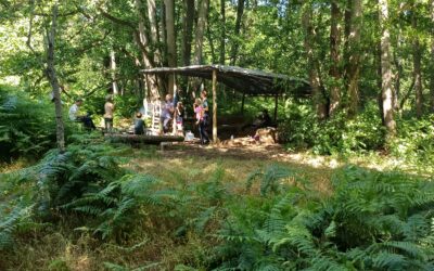 Tween wellbeing